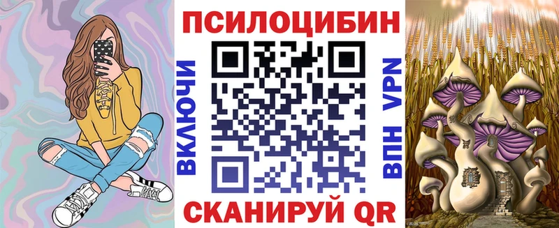 закладка  OMG как войти  Галлюциногенные грибы Magic Shrooms  Люберцы 