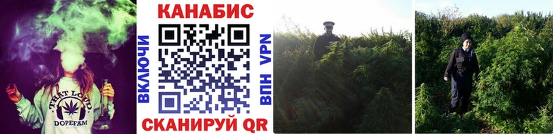 закладка  Люберцы  Конопля SATIVA & INDICA 